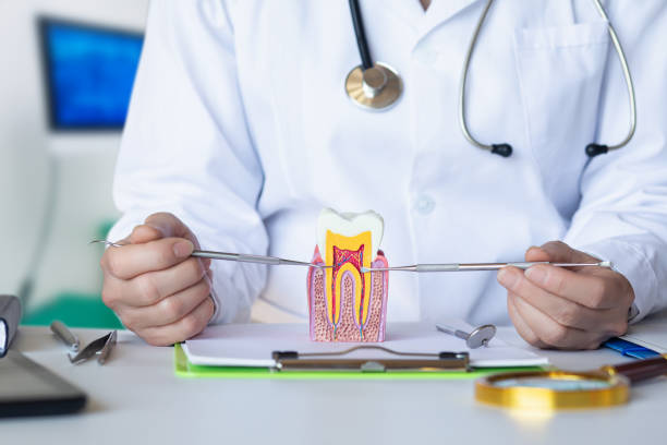 Best Emergency Treatment for Oral Infections in Mammoth Lakes, CA